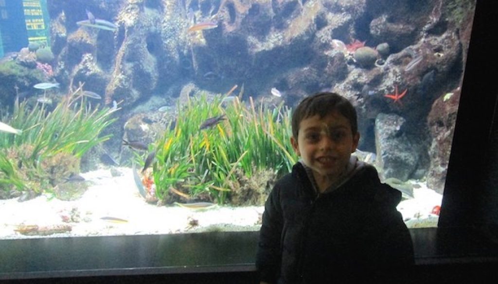 acquario genova